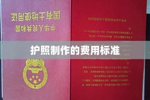 孟州护照制作的费用标准